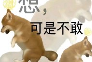 逗人开心的搞笑表情_搞怪的趣味表情图片
