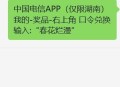 湖南电信1亓话fei ​​​
