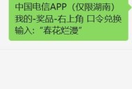 湖南电信1亓话fei ​​​