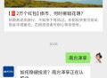 关注公众号发送指定文字得红包